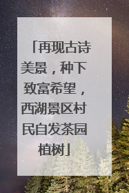 再现古诗美景，种下致富希望，西湖景区村民自发茶园植树
