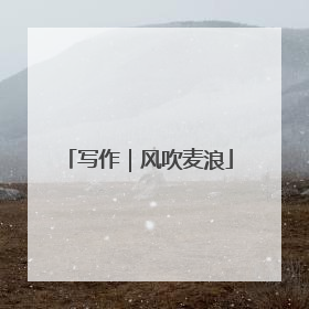 写作｜风吹麦浪