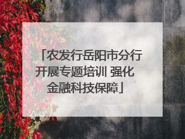 农发行岳阳市分行开展专题培训 强化金融科技保障