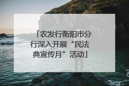 农发行衡阳市分行深入开展“民法典宣传月”活动