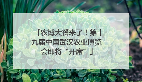 农博大餐来了！第十九届中国武汉农业博览会即将“开席”
