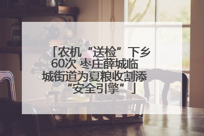 农机“送检”下乡60次 枣庄薛城临城街道为夏粮收割添“安全引擎”