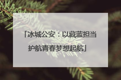 冰城公安：以藏蓝担当 护航青春梦想起航