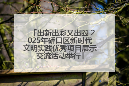 出新出彩又出圈 2025年硚口区新时代文明实践优秀项目展示交流活动举行