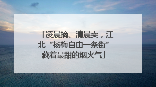 凌晨摘、清晨卖，江北“杨梅自由一条街”藏着最甜的烟火气