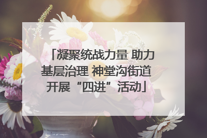 凝聚统战力量 助力基层治理 神堂沟街道开展“四进”活动