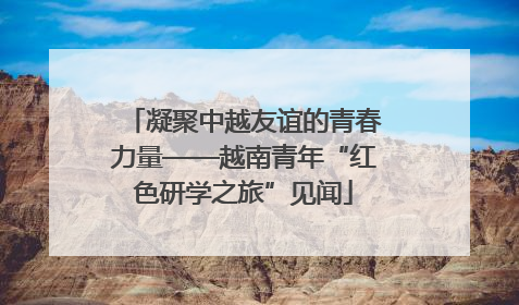 凝聚中越友谊的青春力量——越南青年“红色研学之旅”见闻