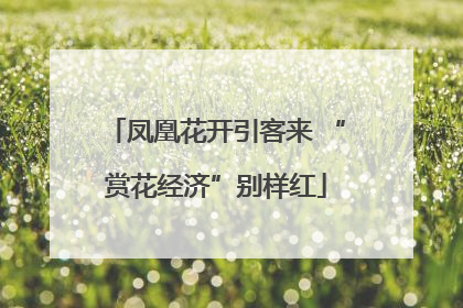凤凰花开引客来 “赏花经济”别样红