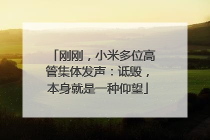 刚刚，小米多位高管集体发声：诋毁，本身就是一种仰望