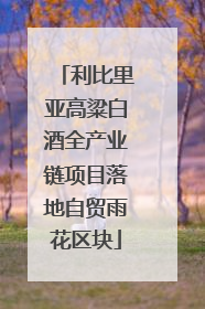利比里亚高粱白酒全产业链项目落地自贸雨花区块