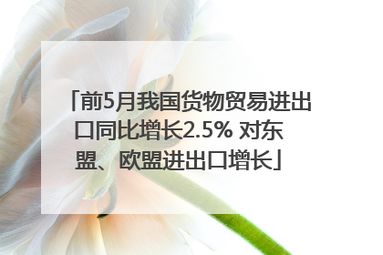 前5月我国货物贸易进出口同比增长2.5% 对东盟、欧盟进出口增长