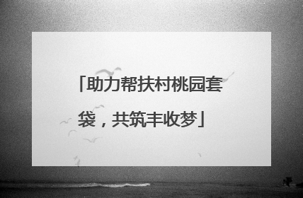 助力帮扶村桃园套袋，共筑丰收梦