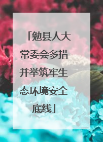 勉县人大常委会多措并举筑牢生态环境安全底线
