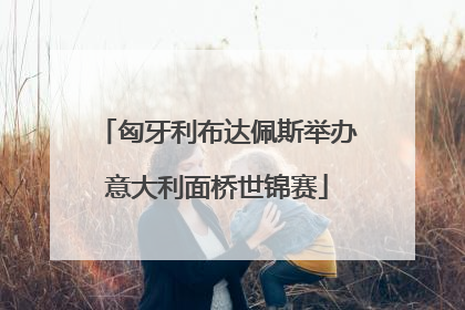 匈牙利布达佩斯举办意大利面桥世锦赛