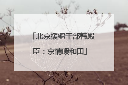 北京援疆干部韩殿臣：京情暖和田