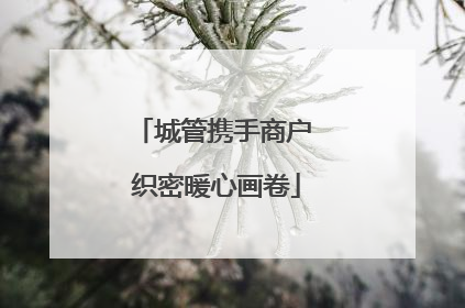 城管携手商户 织密暖心画卷