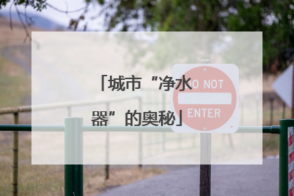 城市“净水器”的奥秘
