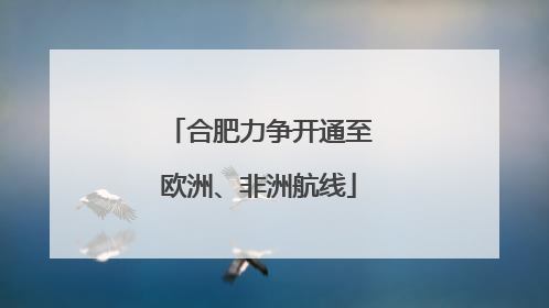 合肥力争开通至欧洲、非洲航线