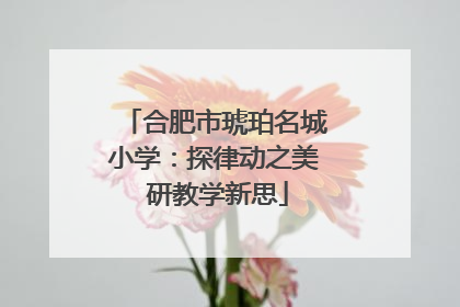 合肥市琥珀名城小学：探律动之美 研教学新思