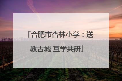 合肥市杏林小学：送教古城 互学共研