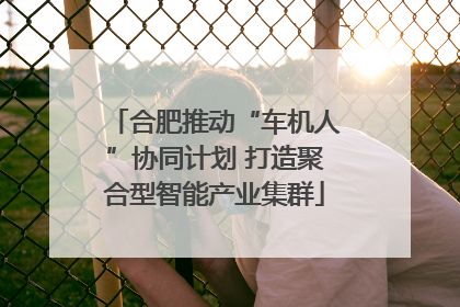 合肥推动“车机人”协同计划 打造聚合型智能产业集群