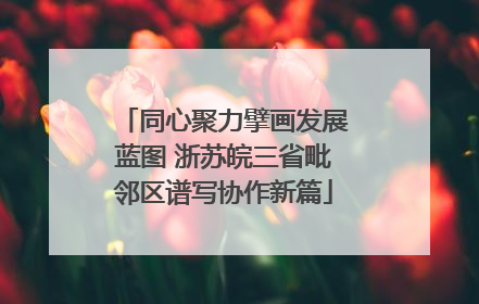 同心聚力擘画发展蓝图 浙苏皖三省毗邻区谱写协作新篇