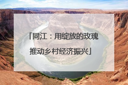 同江：用绽放的玫瑰 推动乡村经济振兴