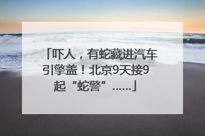 吓人，有蛇藏进汽车引擎盖！北京9天接9起“蛇警”……