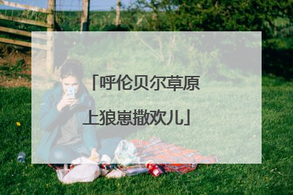 呼伦贝尔草原上狼崽撒欢儿
