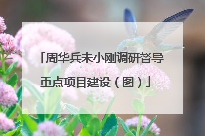 周华兵未小刚调研督导重点项目建设（图）