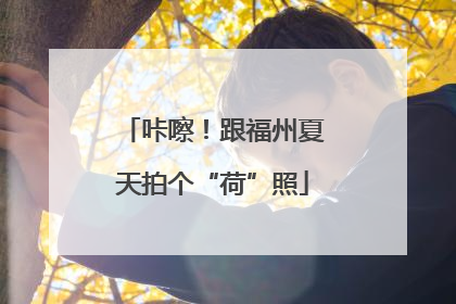 咔嚓！跟福州夏天拍个“荷”照