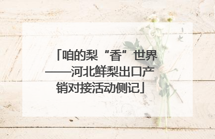 咱的梨“香”世界——河北鲜梨出口产销对接活动侧记