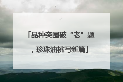 品种突围破“老”题，珍珠油桃写新篇