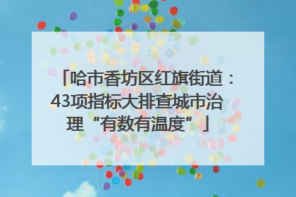 哈市香坊区红旗街道：43项指标大排查城市治理“有数有温度”