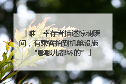 唯一幸存者描述惊魂瞬间，有乘客拍到机舱设施“哪哪儿都坏的”