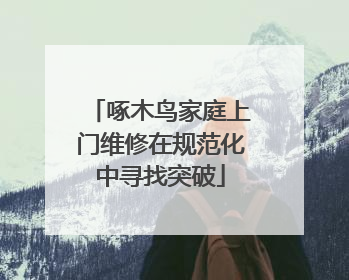 啄木鸟家庭上门维修在规范化中寻找突破