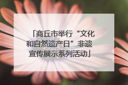 商丘市举行“文化和自然遗产日”非遗宣传展示系列活动