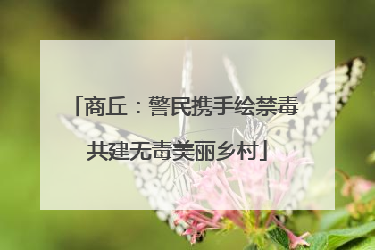 商丘：警民携手绘禁毒 共建无毒美丽乡村