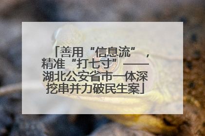 善用“信息流”，精准“打七寸”——湖北公安省市一体深挖串并力破民生案
