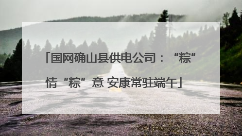 国网确山县供电公司:“粽”情“粽”意 安康常驻端午