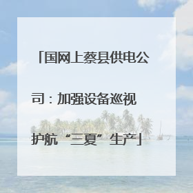 国网上蔡县供电公司：加强设备巡视 护航“三夏”生产