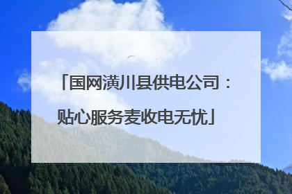 国网潢川县供电公司：贴心服务麦收电无忧