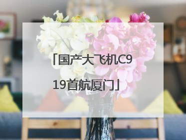 国产大飞机C919首航厦门
