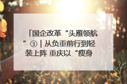 国企改革“头雁领航”③｜从负重前行到轻装上阵 重庆以“瘦身”谋“健体”