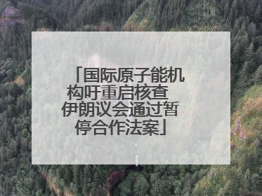国际原子能机构吁重启核查 伊朗议会通过暂停合作法案
