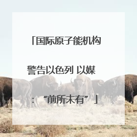 国际原子能机构警告以色列 以媒：“前所未有”