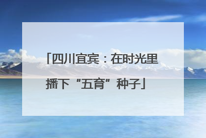 四川宜宾：在时光里播下“五育”种子