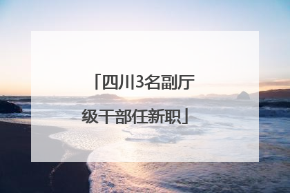四川3名副厅级干部任新职