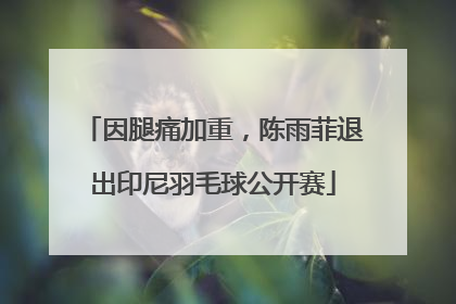 因腿痛加重，陈雨菲退出印尼羽毛球公开赛