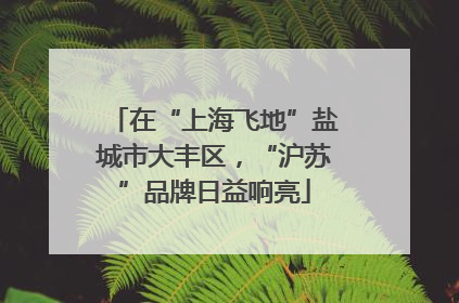 在“上海飞地”盐城市大丰区，“沪苏”品牌日益响亮